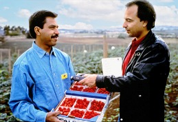 Agricultural Data System - The History