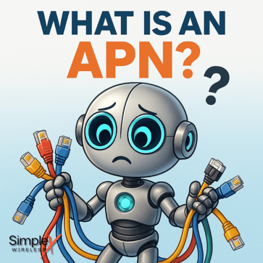what is an APN